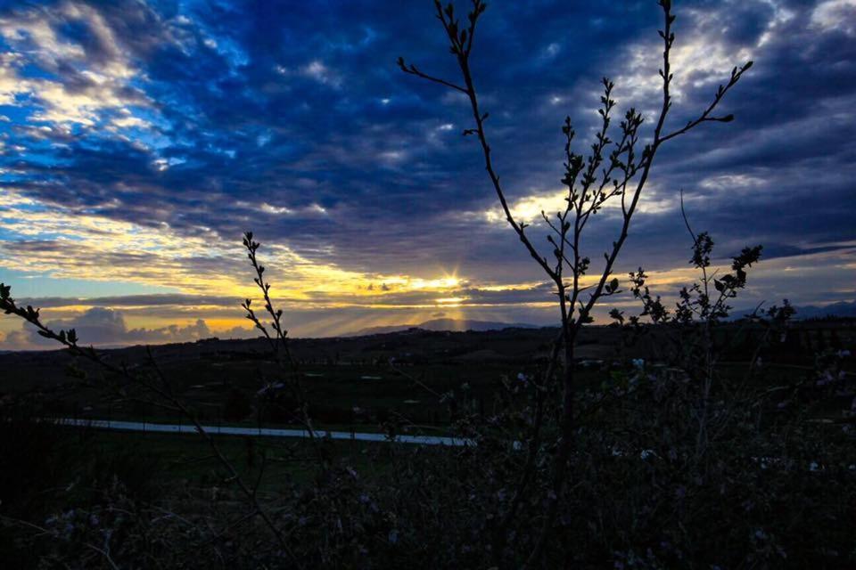 Agriturismo Il Piastrino Vinci Exterior foto