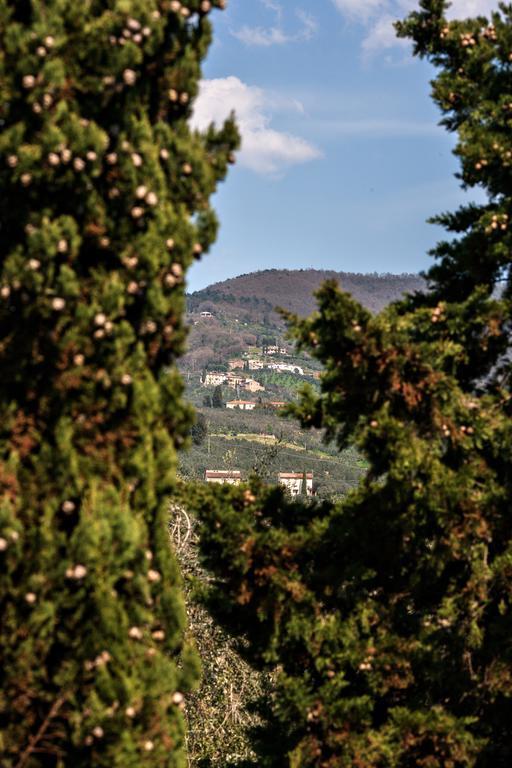 Agriturismo Il Piastrino Vinci Exterior foto