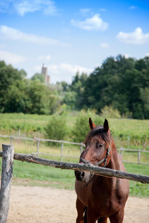 Agriturismo Il Piastrino Vinci Exterior foto