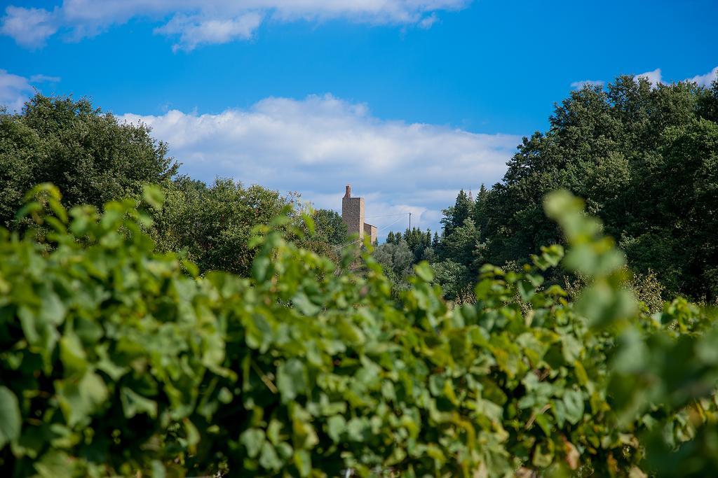 Agriturismo Il Piastrino Vinci Exterior foto