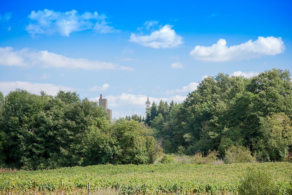 Agriturismo Il Piastrino Vinci Exterior foto